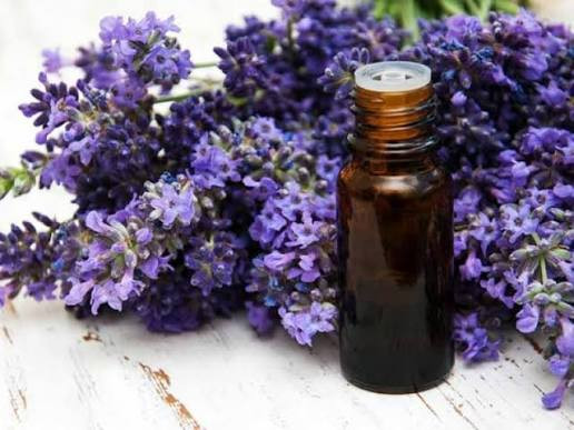 روغن گل بنفشه آراد طبیعت ایرانیان ۱۰۰٪ خالص و طبیعی